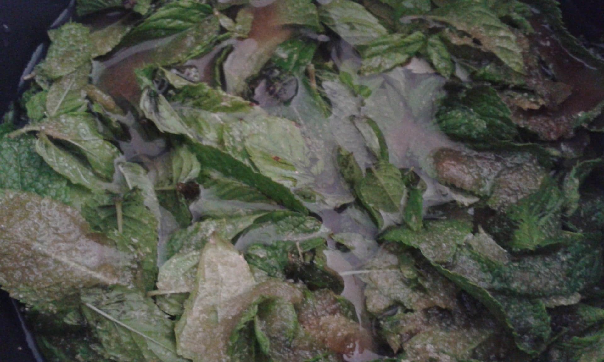 Recette sirop de menthe maison - ebullition